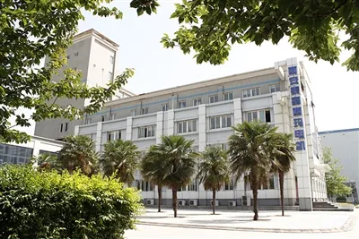 Analiza de adaptabilitate a motoarelor cu inducție în trei{0}}faze SIMO în me...