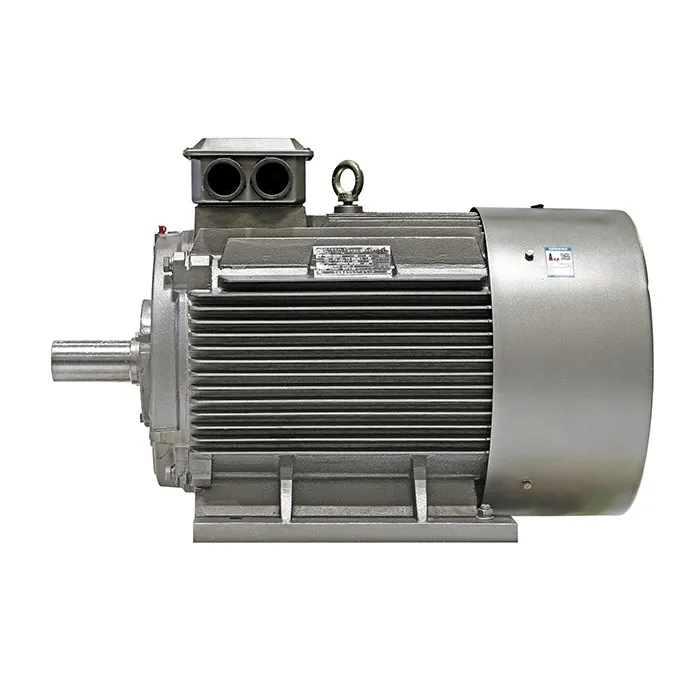 YE2 Asynchronous Three Phase Motor